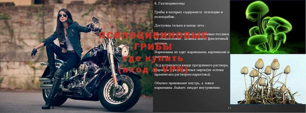 мдма Михайловка