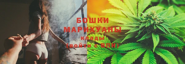 дживик Надым